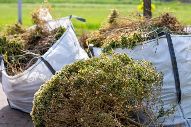 Best Commercial Cleanout Services  in Antioch, CA